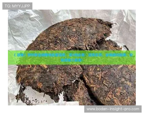 篮球竞猜避坑指南 彩票与数字高频玩法防骗攻略